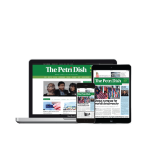 Web (Annual Subscription)