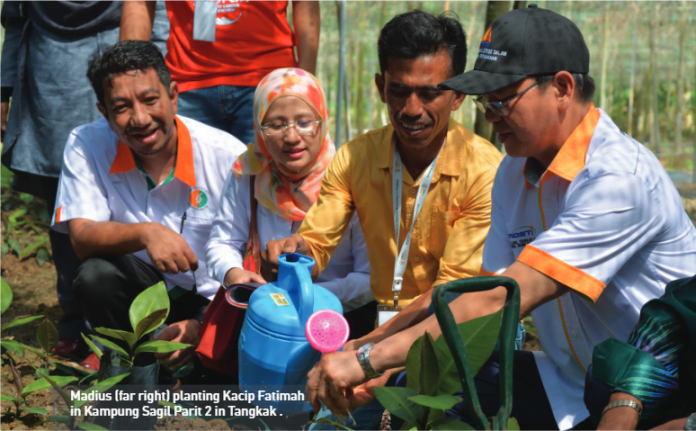 Textile Town set to become herbal hub in North Johor - The Petri Dish