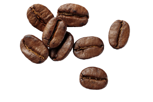 Why Do Coffee Beans Have To Be Roasted The Petri Dish