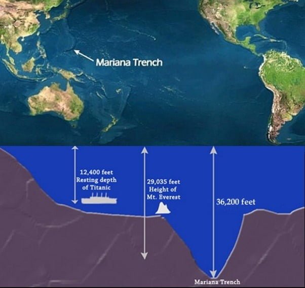 how-deep-is-the-ocean-the-petri-dish