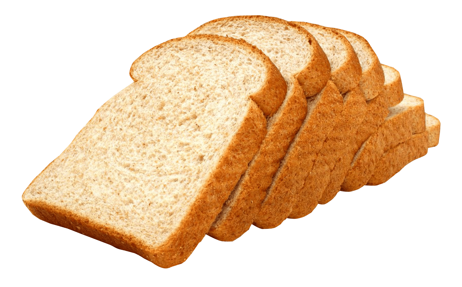 A Better Bread? - The Petri Dish