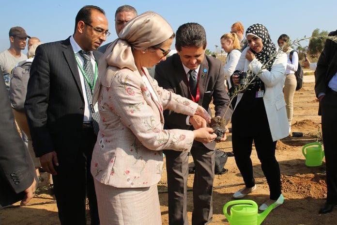 2treeplanting_CBD_7643-tn