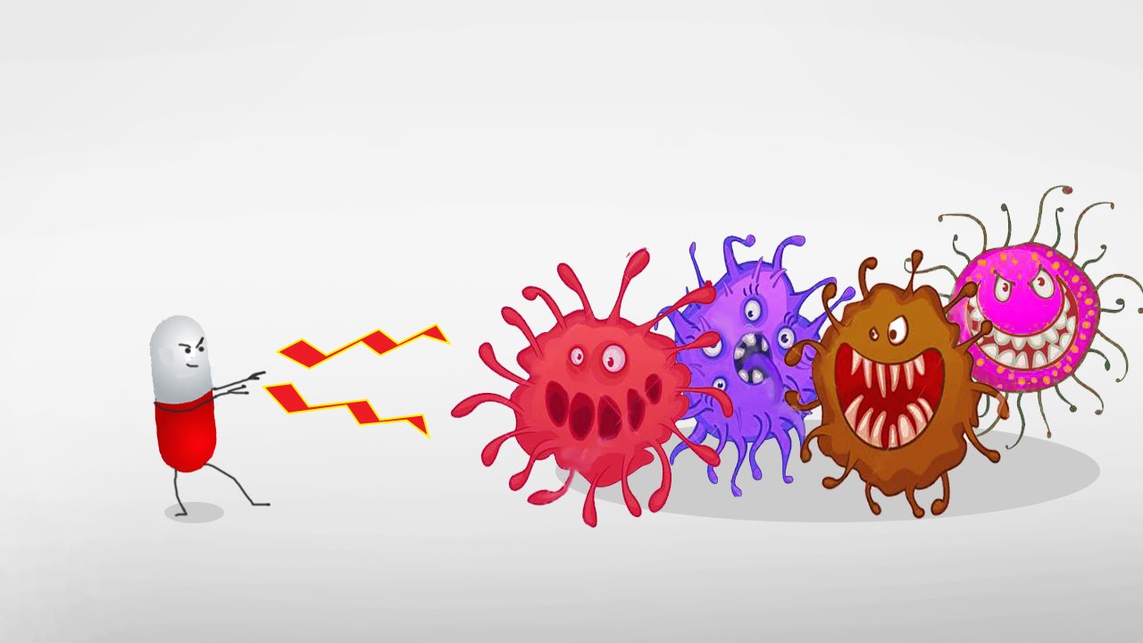 Battling antibiotic resistant bacteria | The Petri Dish