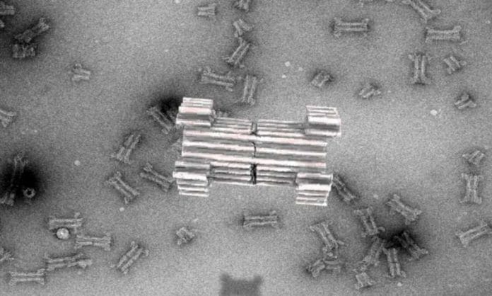 synthetic naopores made from DNA