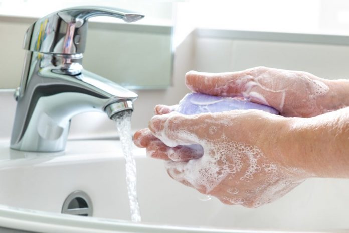 how-does-soap-and-water-kill-germs-the-petri-dish