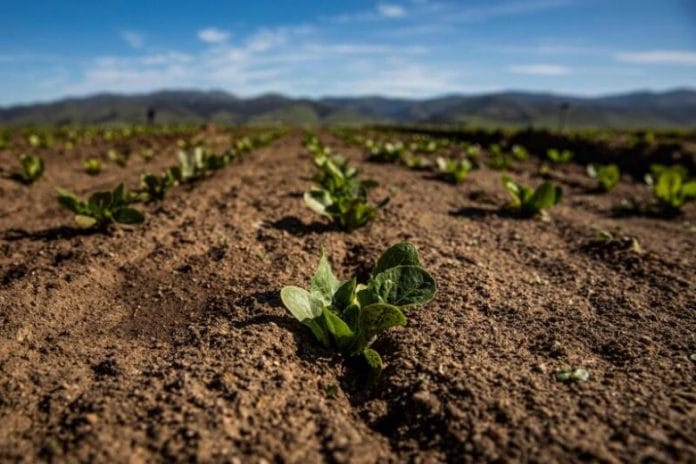 yq-agricultureus-23042021