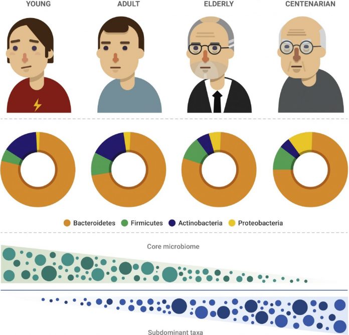 Anda takut tua dan mati? | The Petri Dish