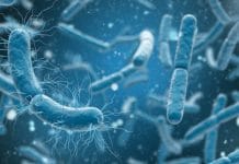 New class of antibiotics active against a wide range of bacteria