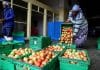 FAO launches the UN’s International Year of Fruits and Vegetables 2021