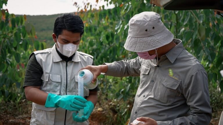 Picture4