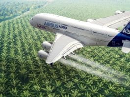 palm waste into sustainable aviation fuel