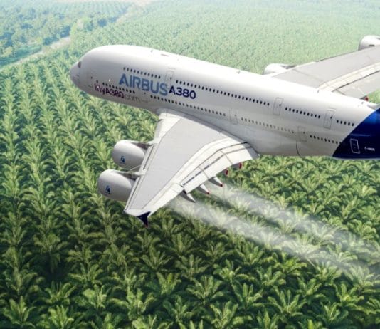 palm waste into sustainable aviation fuel
