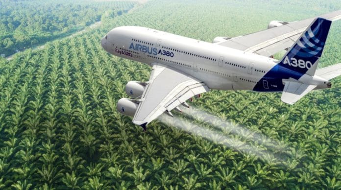 palm waste into sustainable aviation fuel
