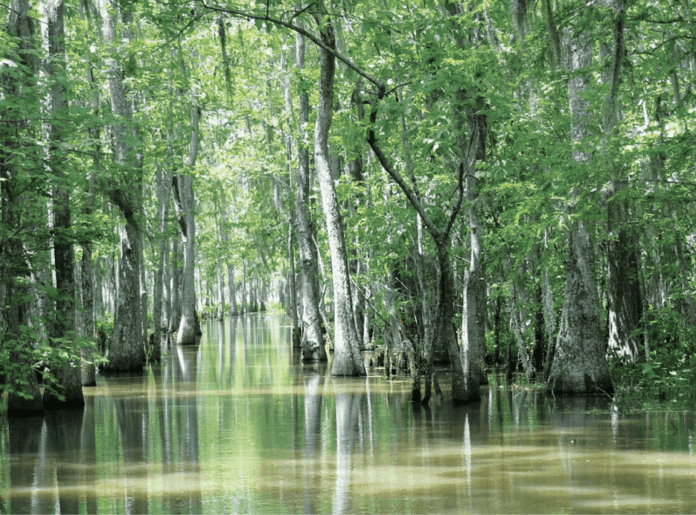 climate and water cycle