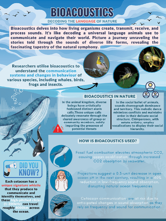 bioacoustics research in animals