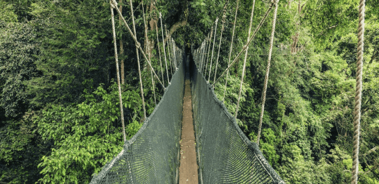 biodiversity