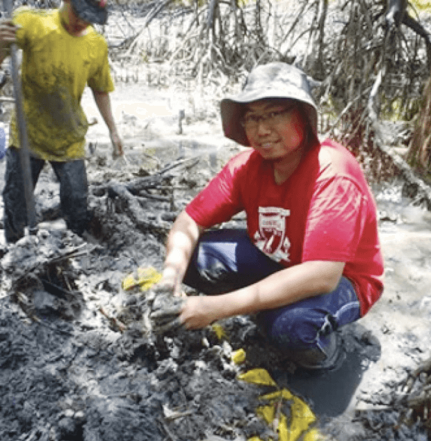 biological health of mangrove systems