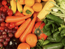 genetically modified crops