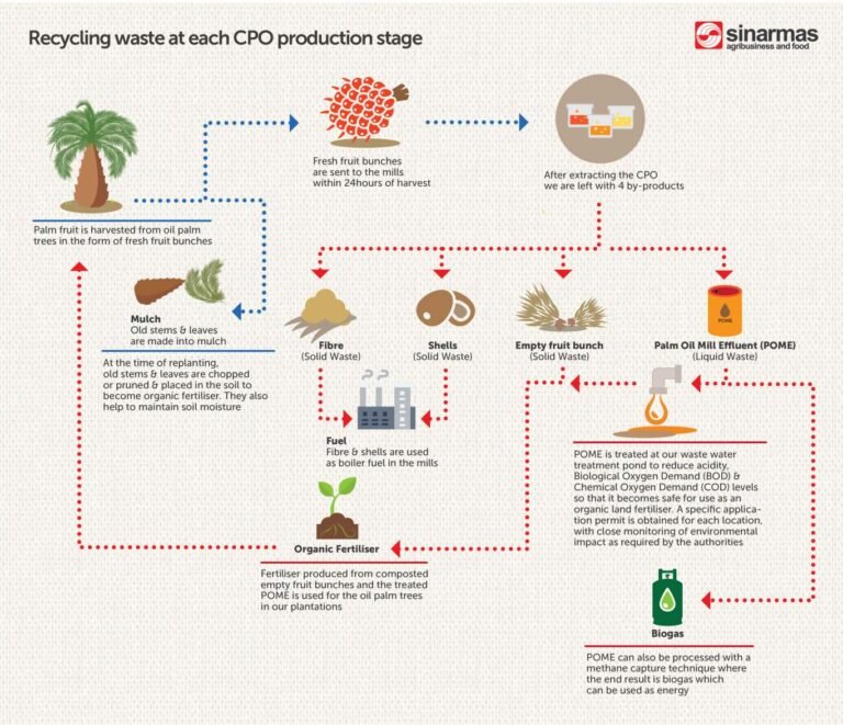 waste-infographic-small