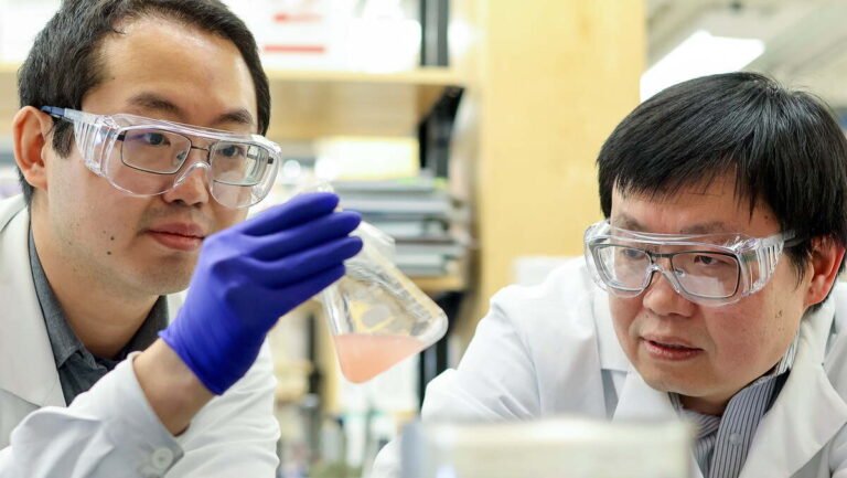 Engineered Red Yeast Converts Forestry Waste into Valuable Fatty Acid