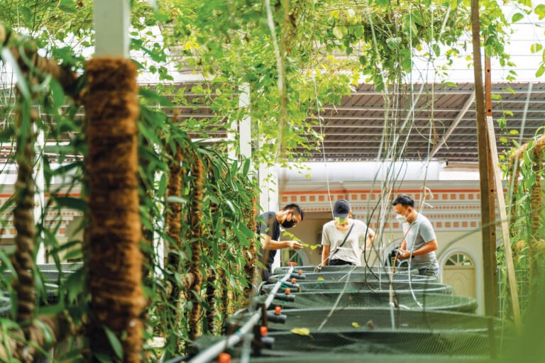 ptr06118_organic_smart_farm_with_indoor_farmed_organic_prawns