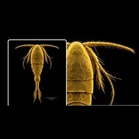 science_image_200x200